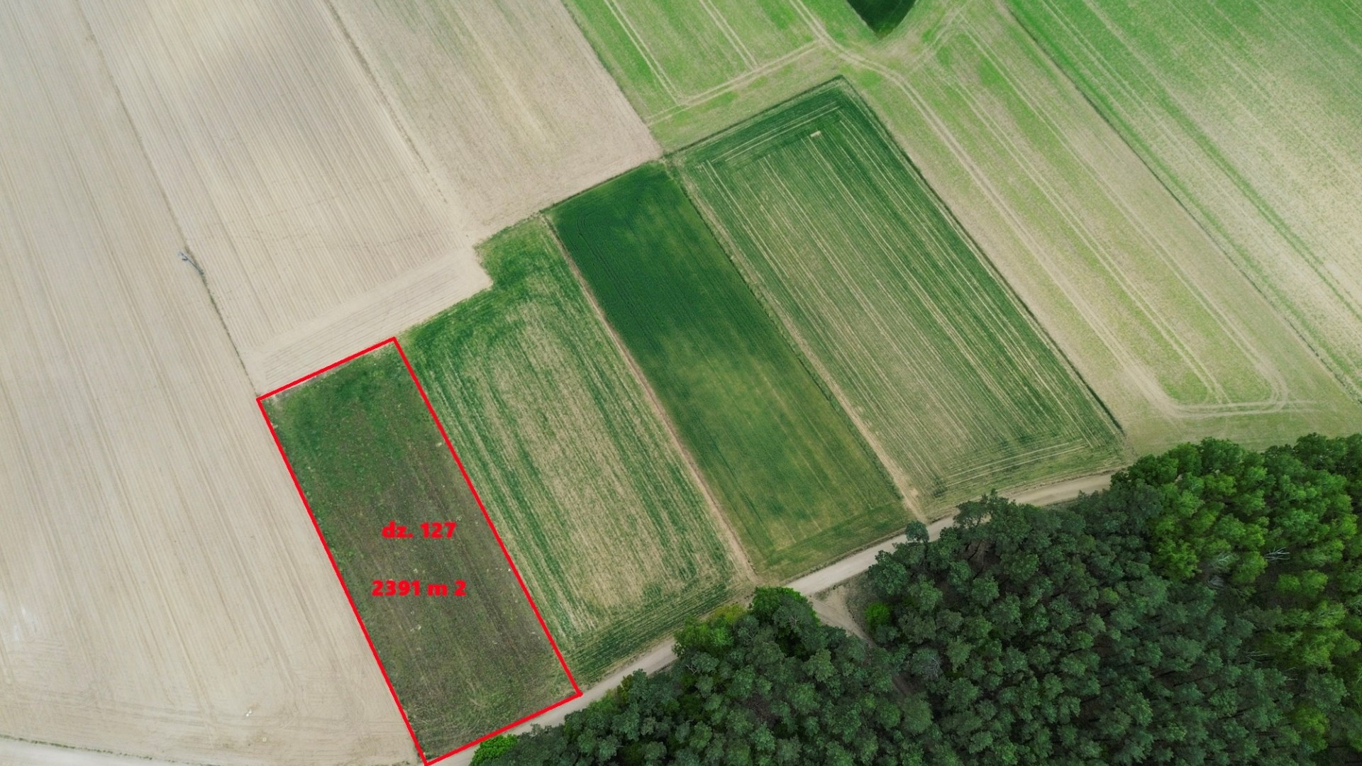 Działka na sprzedaż