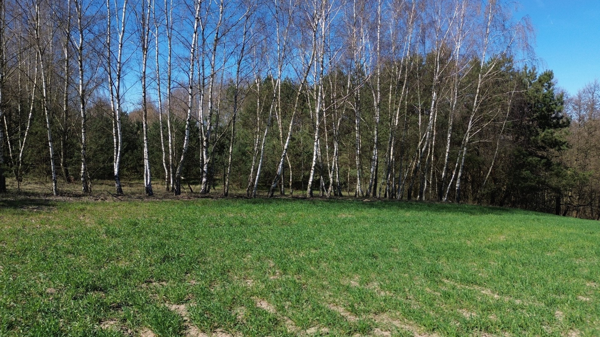 Działka na sprzedaż