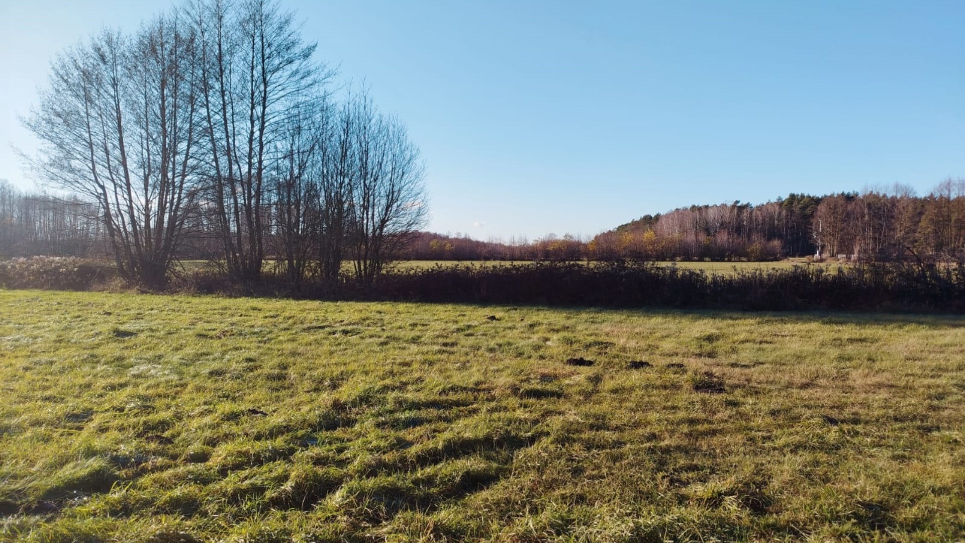 Działka na sprzedaż